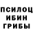 Псилоцибиновые грибы GOLDEN TEACHER dimon_cool 322