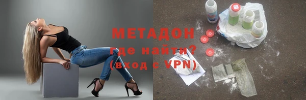 прущие грибы Абаза