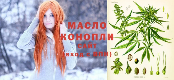 прущие грибы Абаза