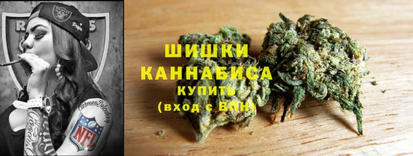 прущие грибы Абаза