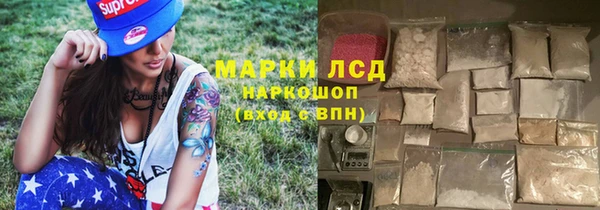 прущие грибы Абаза