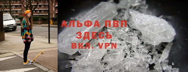 прущие грибы Абаза