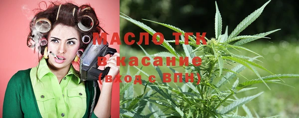 прущие грибы Абаза