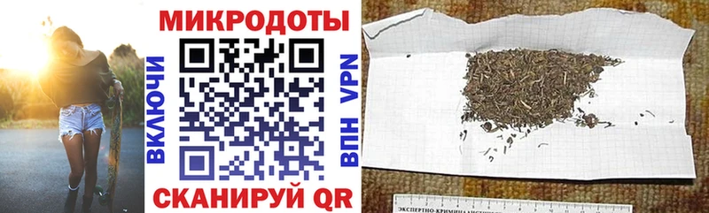 это телеграм  Терек  Галлюциногенные грибы прущие грибы 
